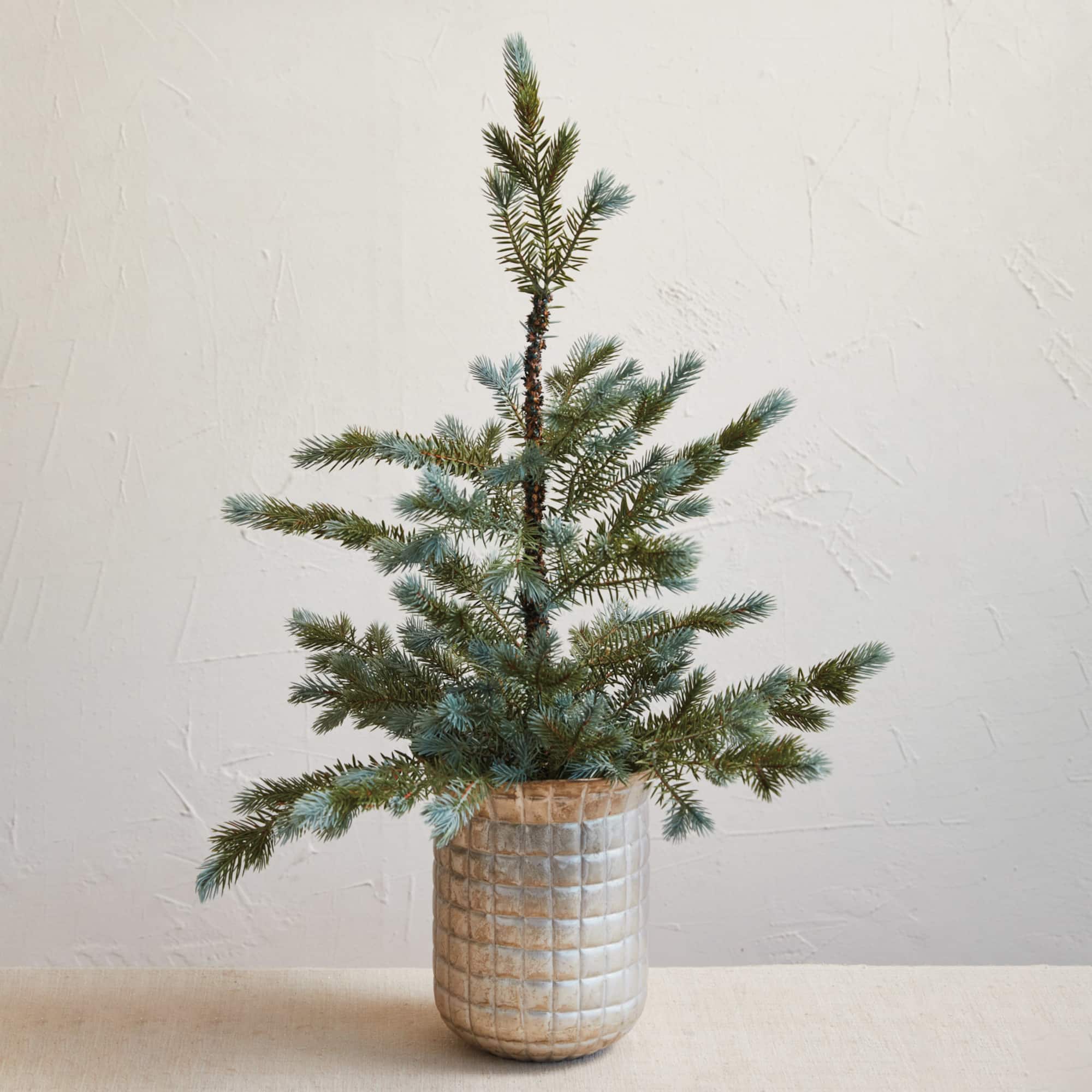 Hello Honey® 8.25" Distressed Pewter Round Grid Pattern Debossed Metal Planter